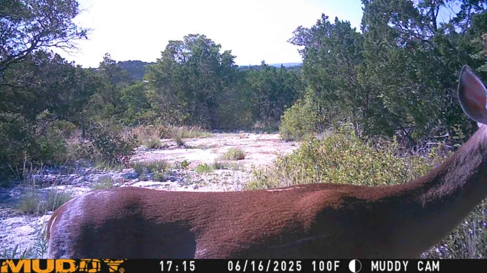 County Road 635 Rocksprings, TX 78880