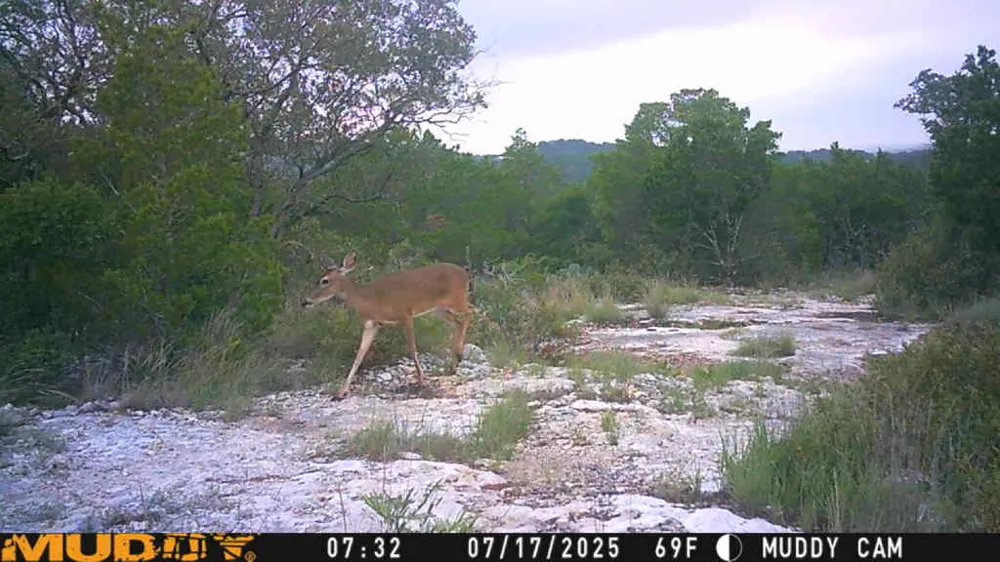 County Road 635 Rocksprings, TX 78880