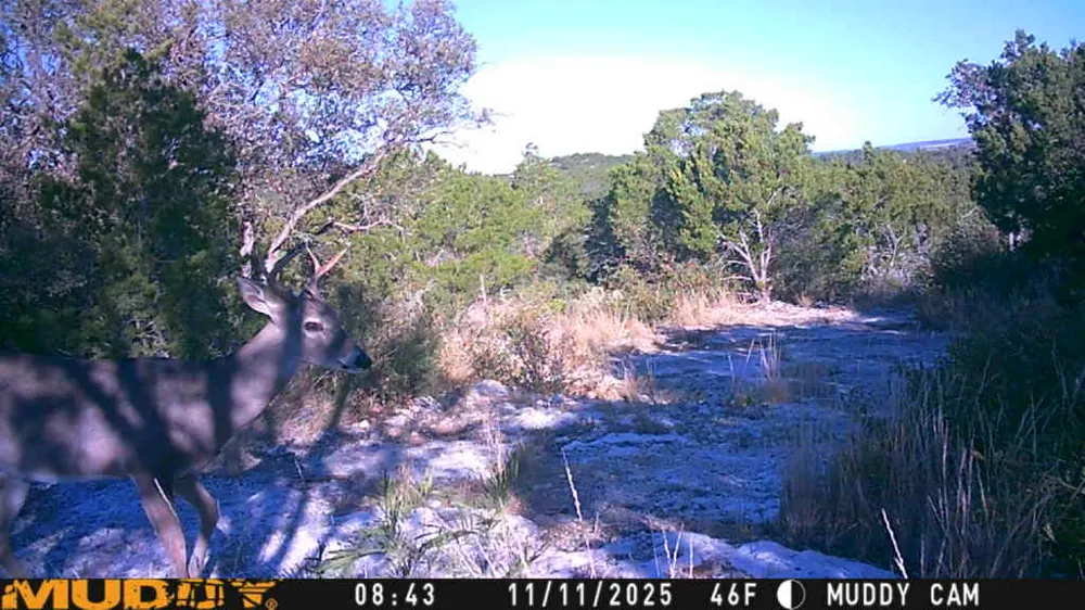 County Road 635 Rocksprings, TX 78880