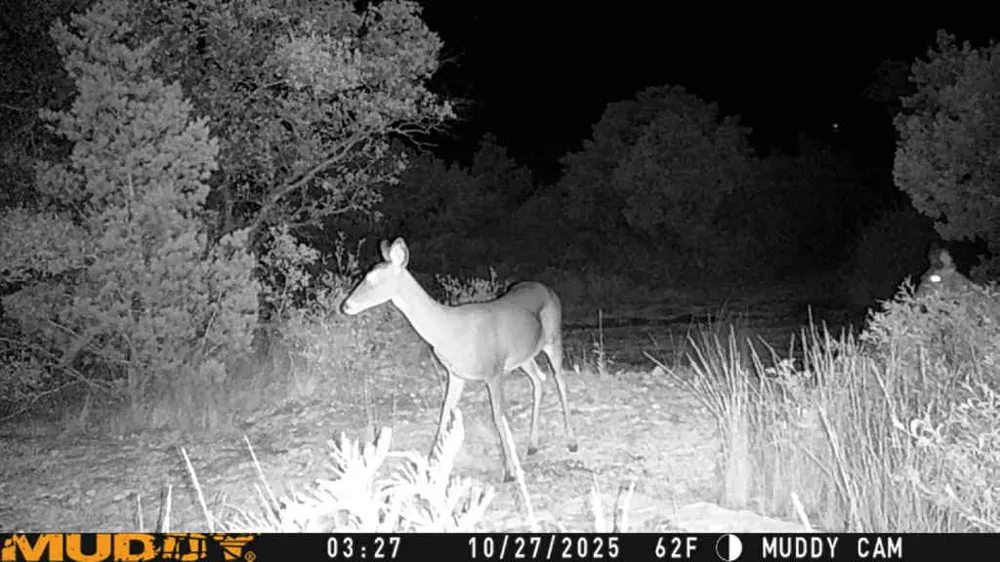 County Road 635 Rocksprings, TX 78880