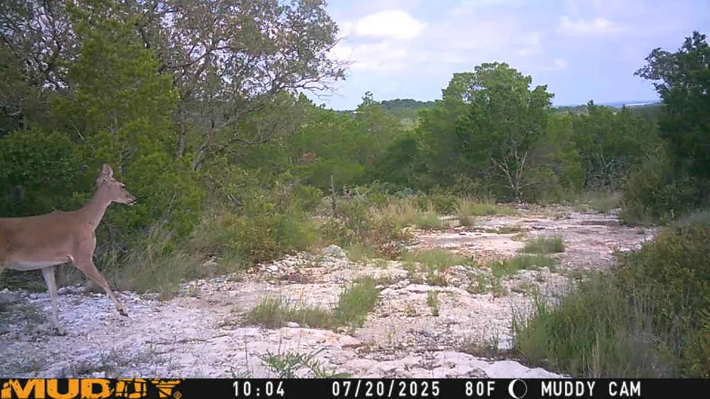 County Road 635 Rocksprings, TX 78880