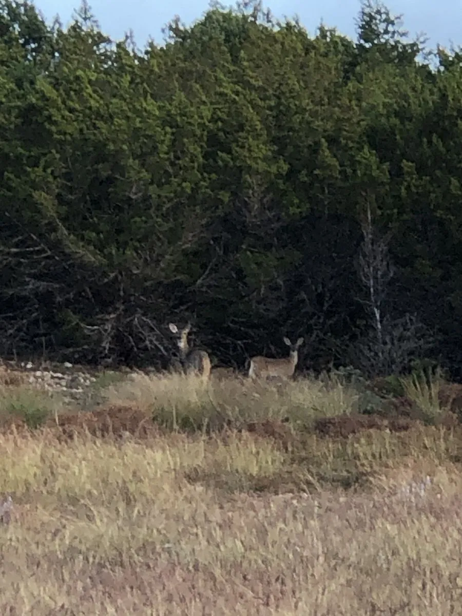 County Road 635 Rocksprings, TX 78880
