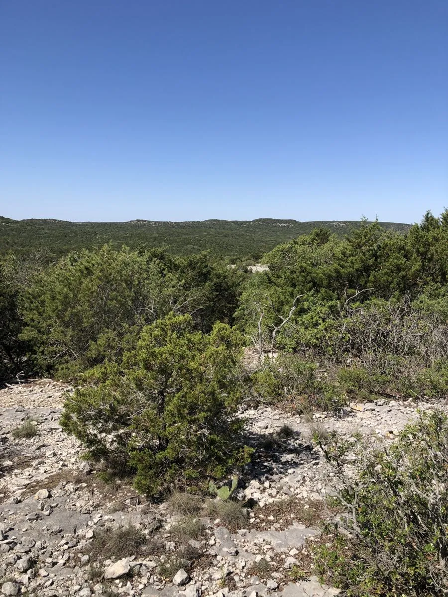 County Road 635 Rocksprings, TX 78880
