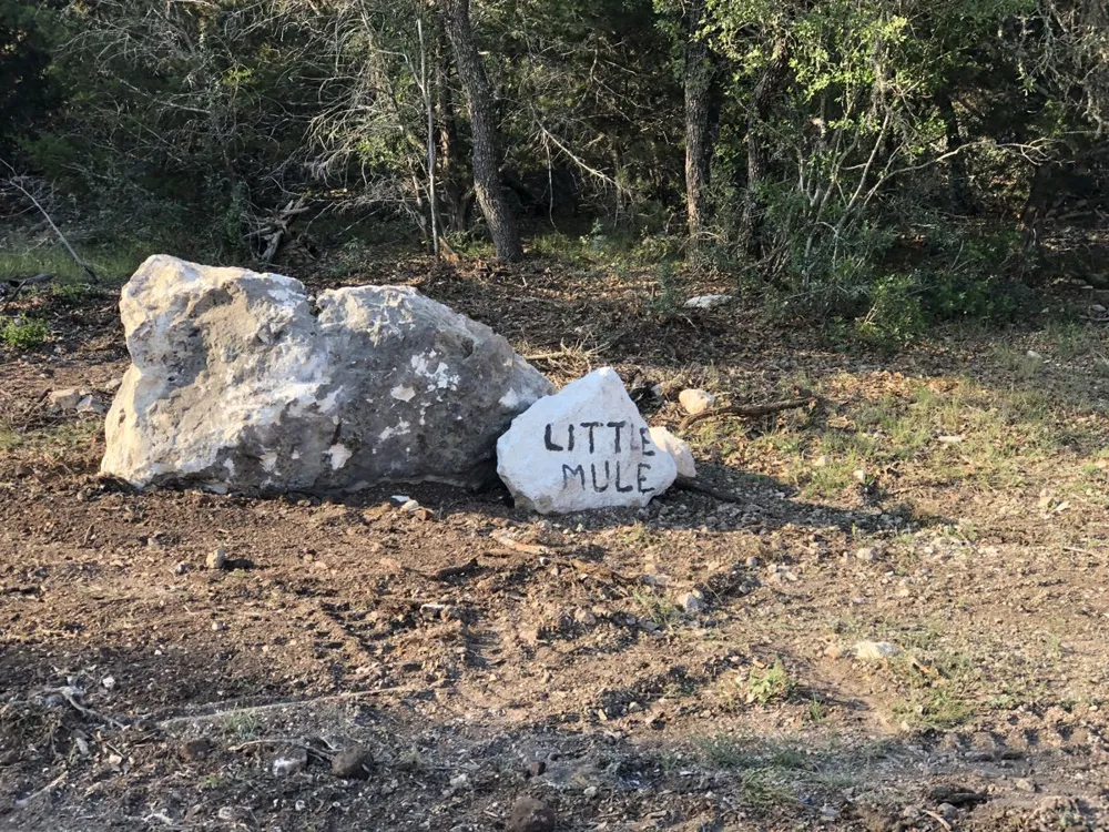 County Road 635 Rocksprings, TX 78880