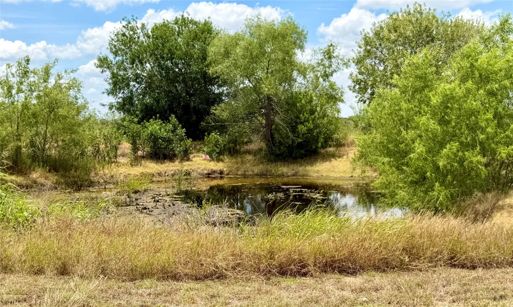 441 Molasses Road Dale, TX 78616