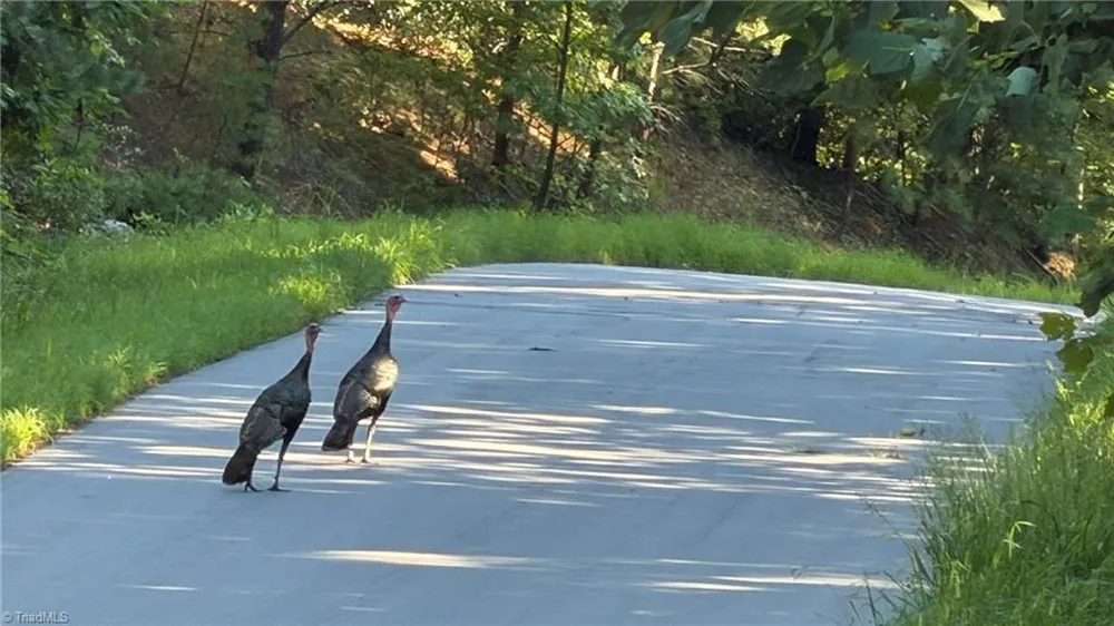 000 Carriage House Trail #Lot #157 McGrady, NC 28649