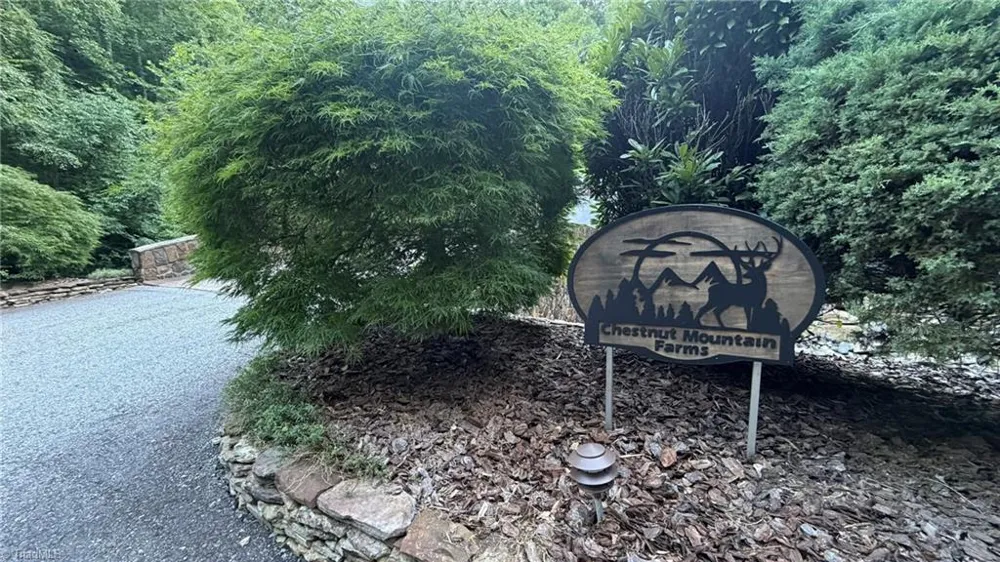 000 Carriage House Trail #Lot #157 McGrady, NC 28649