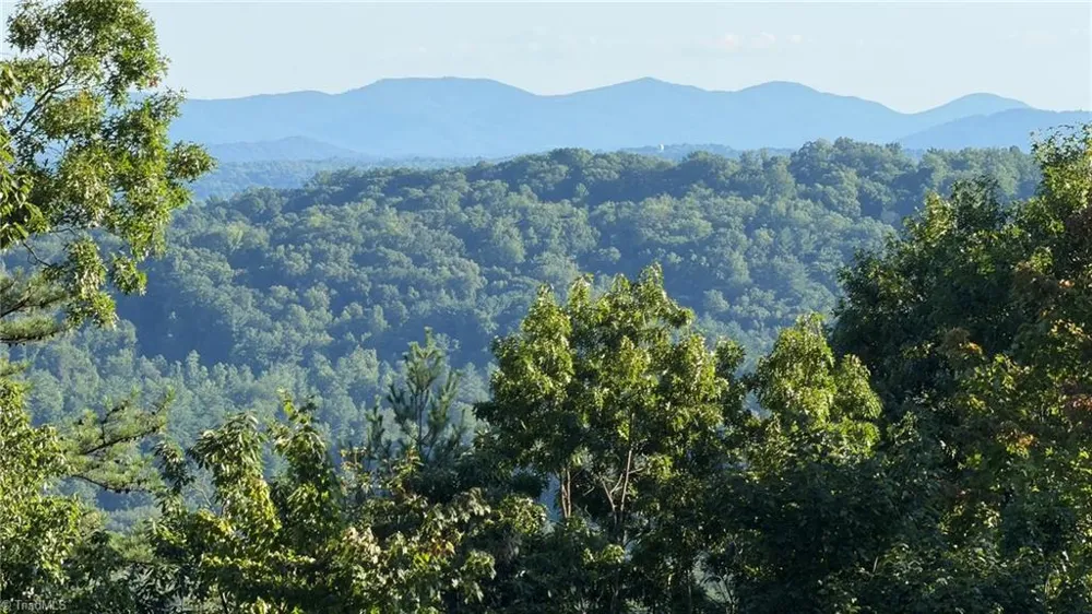 000 Carriage House Trail #Lot #157 McGrady, NC 28649