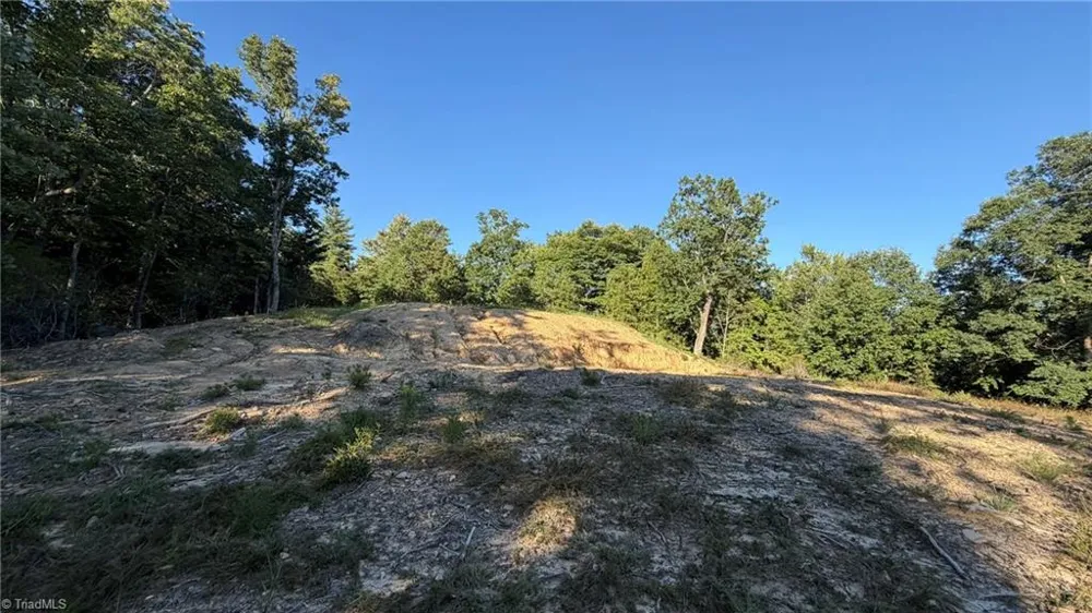 000 Carriage House Trail #Lot #157 McGrady, NC 28649