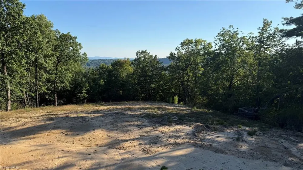 000 Carriage House Trail #Lot #157 McGrady, NC 28649