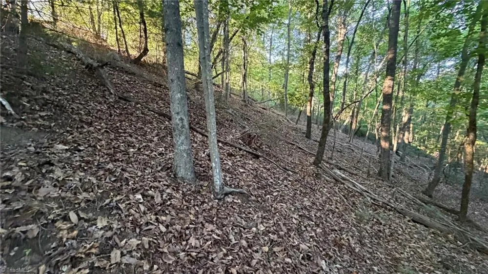 000 Carriage House Trail #Lot #157 McGrady, NC 28649