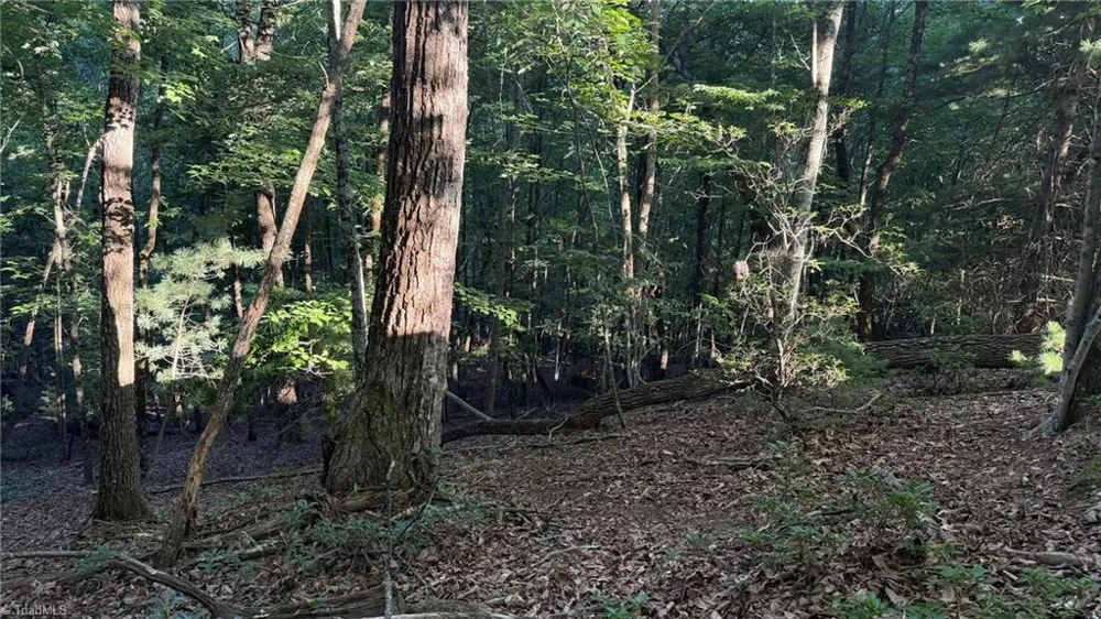 000 Carriage House Trail #Lot #157 McGrady, NC 28649