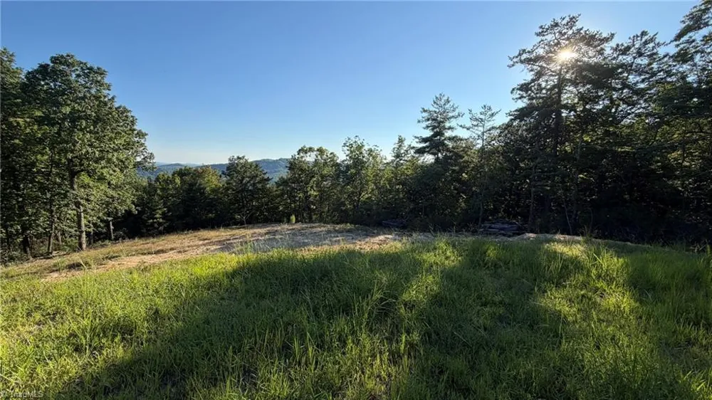 000 Carriage House Trail #Lot #157 McGrady, NC 28649
