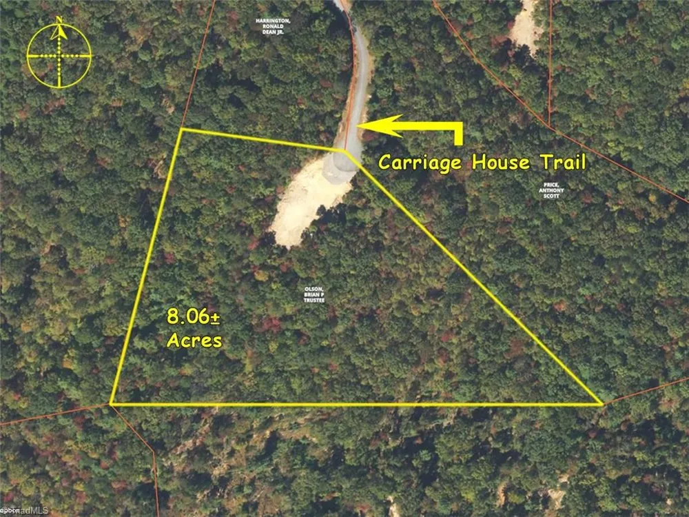 000 Carriage House Trail #Lot #157 McGrady, NC 28649