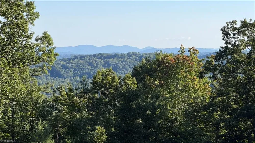 000 Carriage House Trail #Lot #157 McGrady, NC 28649
