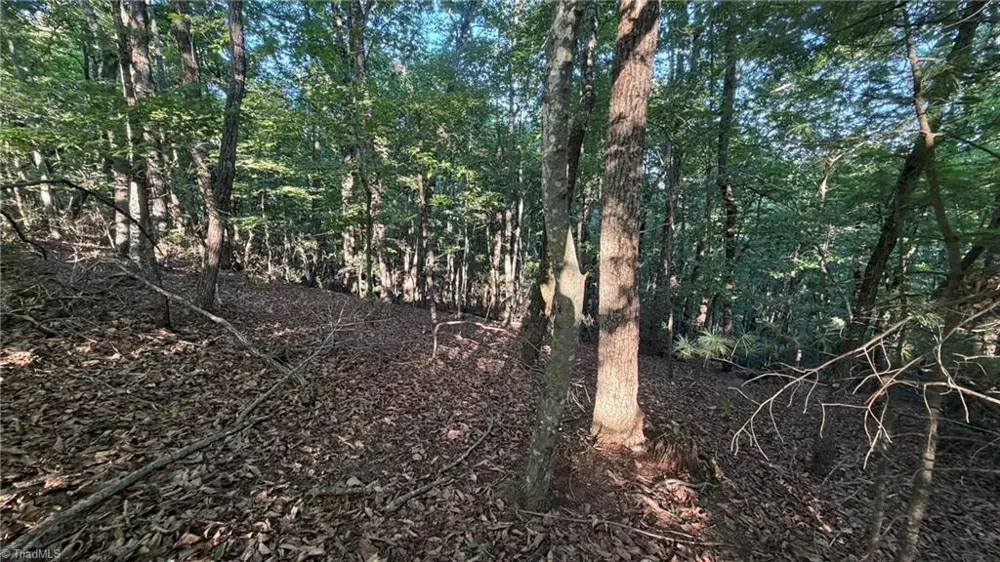 000 Carriage House Trail #Lot #157 McGrady, NC 28649