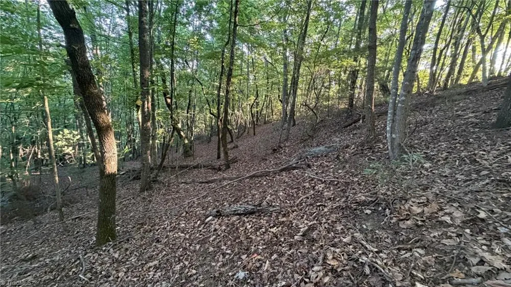 000 Carriage House Trail #Lot #157 McGrady, NC 28649