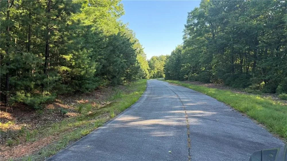 000 Carriage House Trail #Lot #157 McGrady, NC 28649