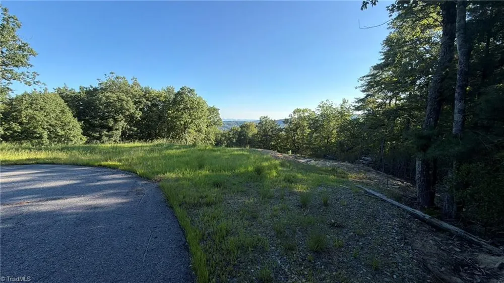 000 Carriage House Trail #Lot #157 McGrady, NC 28649