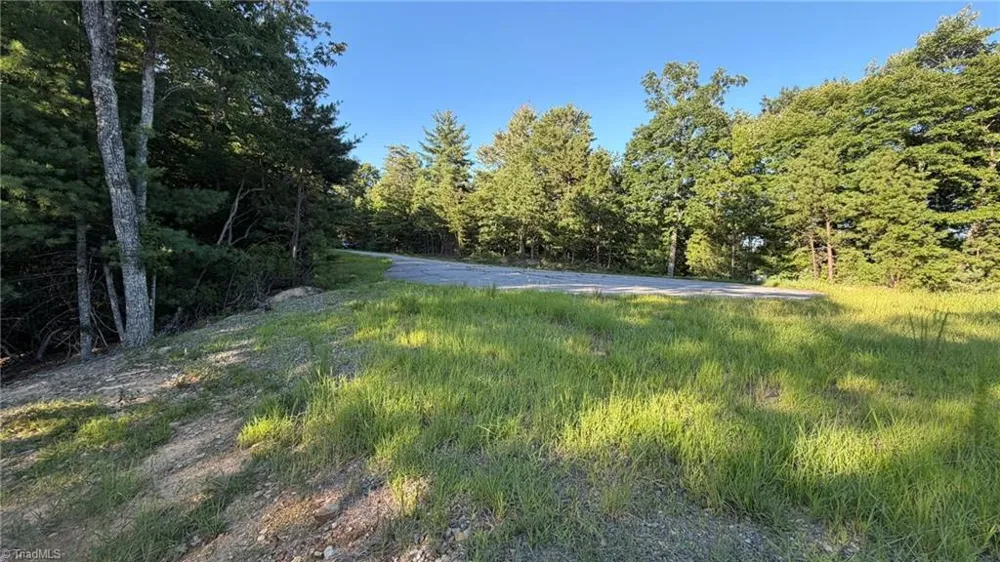 000 Carriage House Trail #Lot #157 McGrady, NC 28649