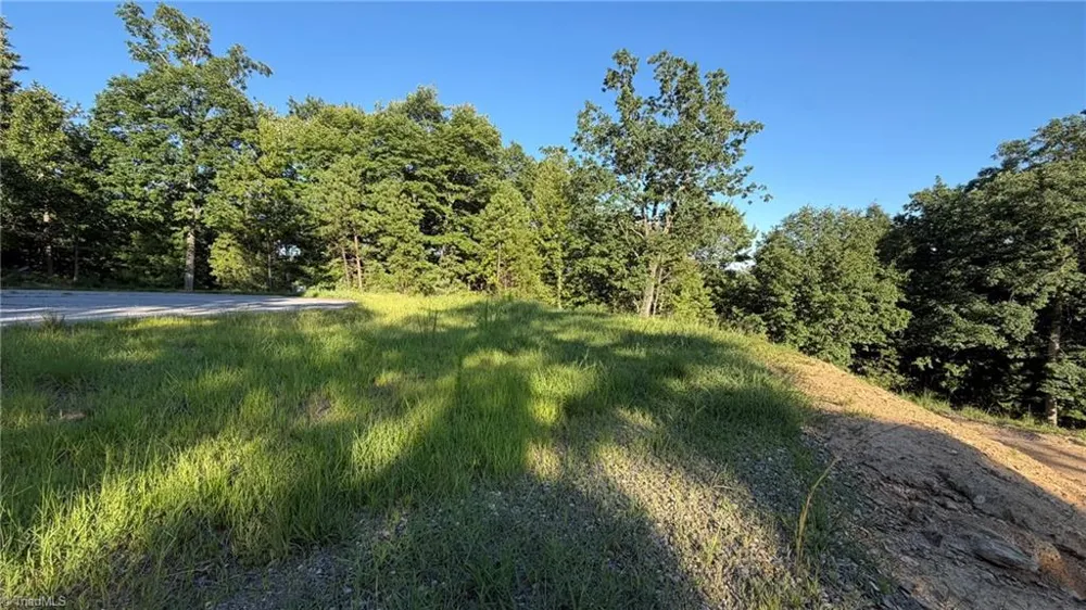 000 Carriage House Trail #Lot #157 McGrady, NC 28649