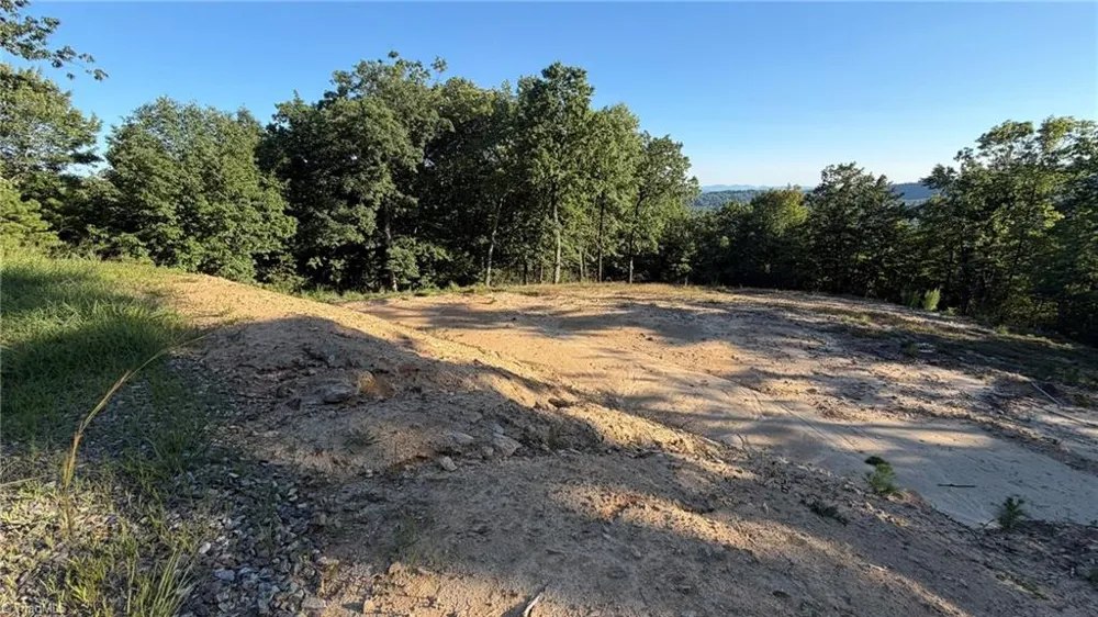 000 Carriage House Trail #Lot #157 McGrady, NC 28649