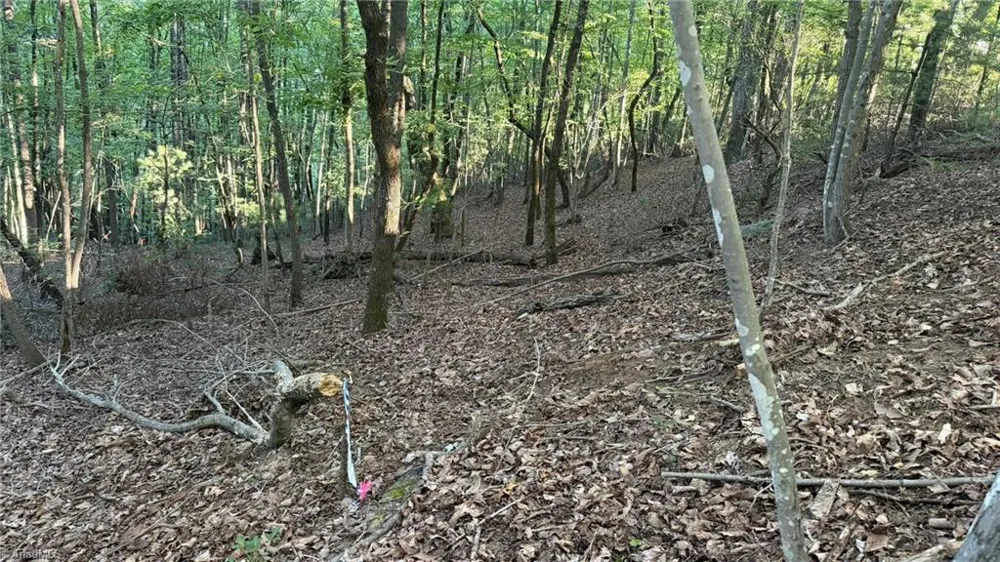 000 Carriage House Trail #Lot #157 McGrady, NC 28649