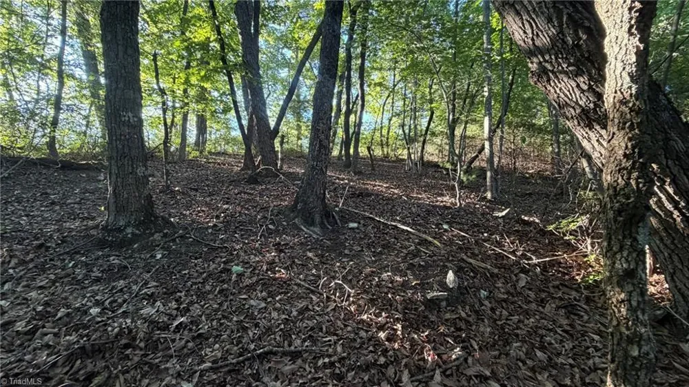 000 Carriage House Trail #Lot #157 McGrady, NC 28649