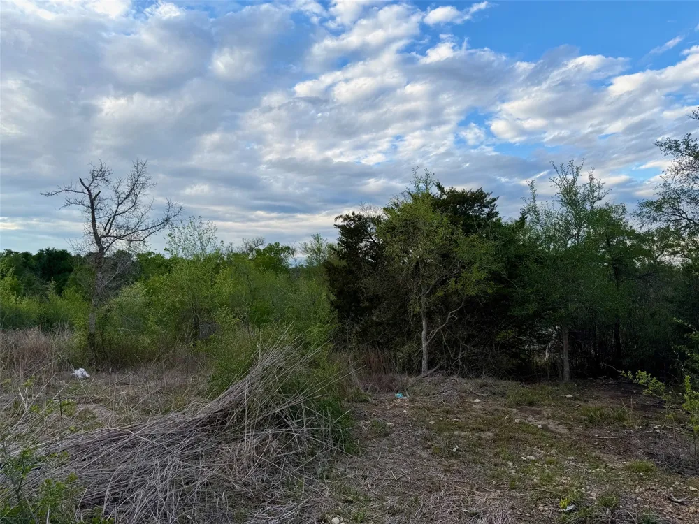 309 Oak Arbor Trail Del Valle, TX 78617