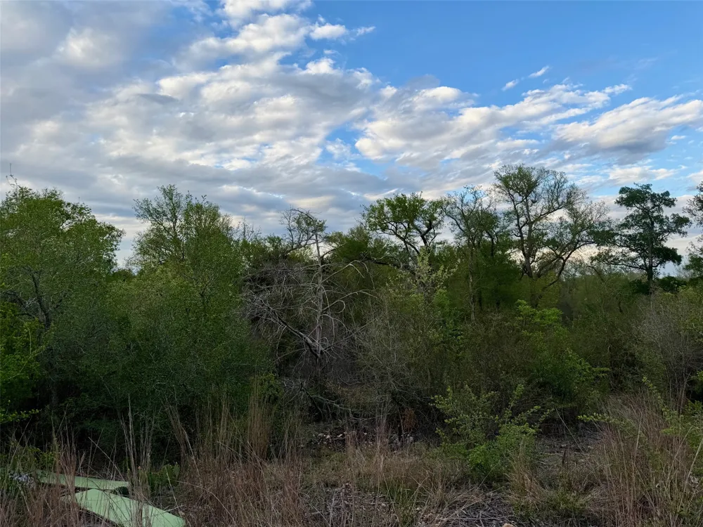 309 Oak Arbor Trail Del Valle, TX 78617