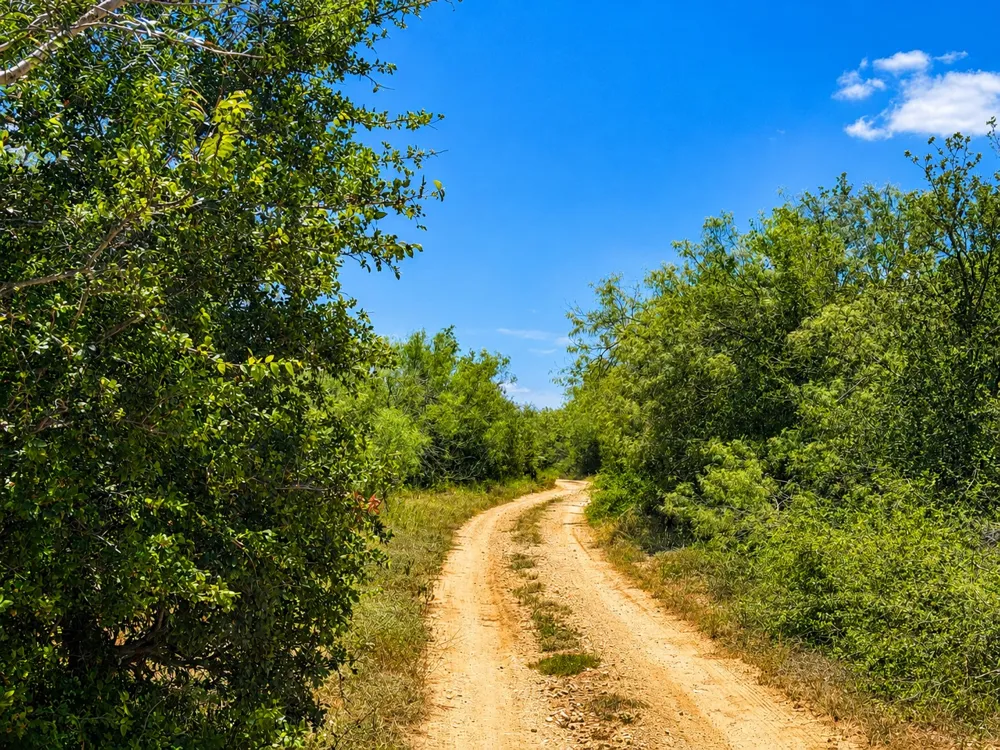 221 Fawn Ridge Road Cedar Creek, TX 78612