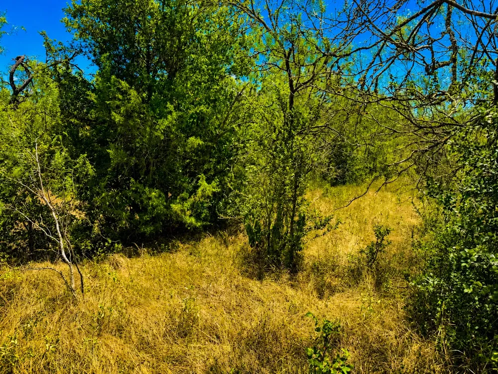 221 Fawn Ridge Road Cedar Creek, TX 78612