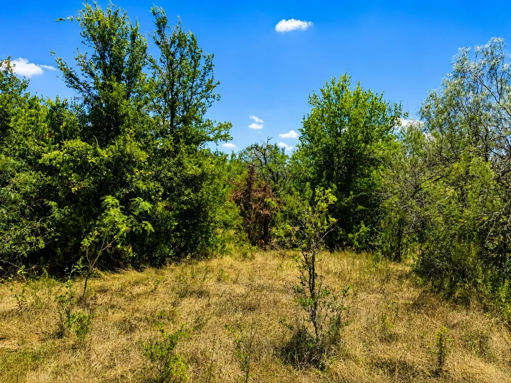 221 Fawn Ridge Road Cedar Creek, TX 78612