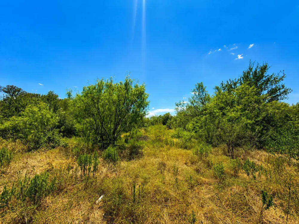 221 Fawn Ridge Road Cedar Creek, TX 78612