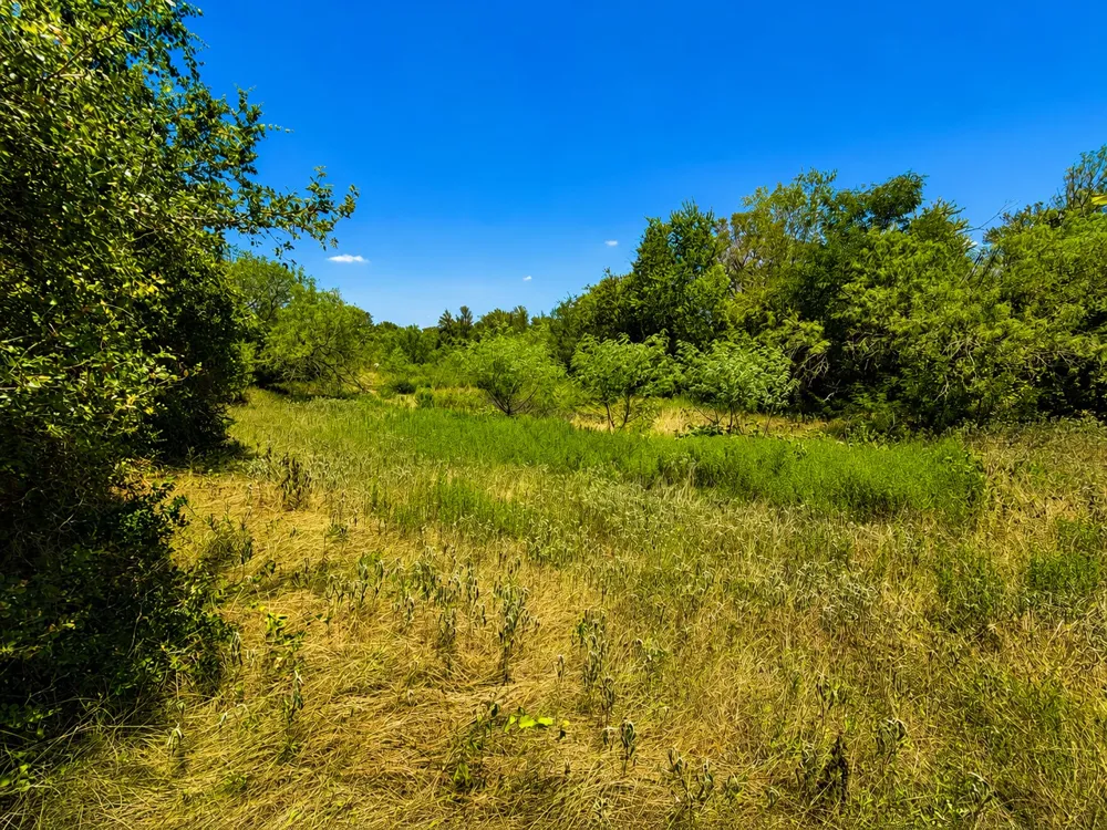 221 Fawn Ridge Road Cedar Creek, TX 78612