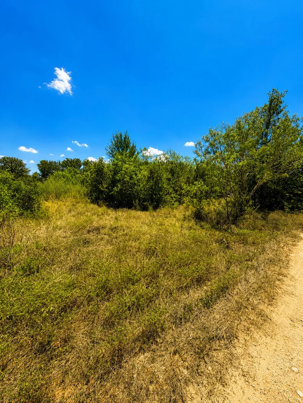 221 Fawn Ridge Road Cedar Creek, TX 78612