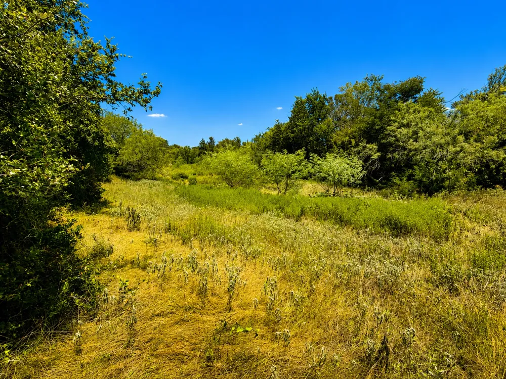 221 Fawn Ridge Road Cedar Creek, TX 78612