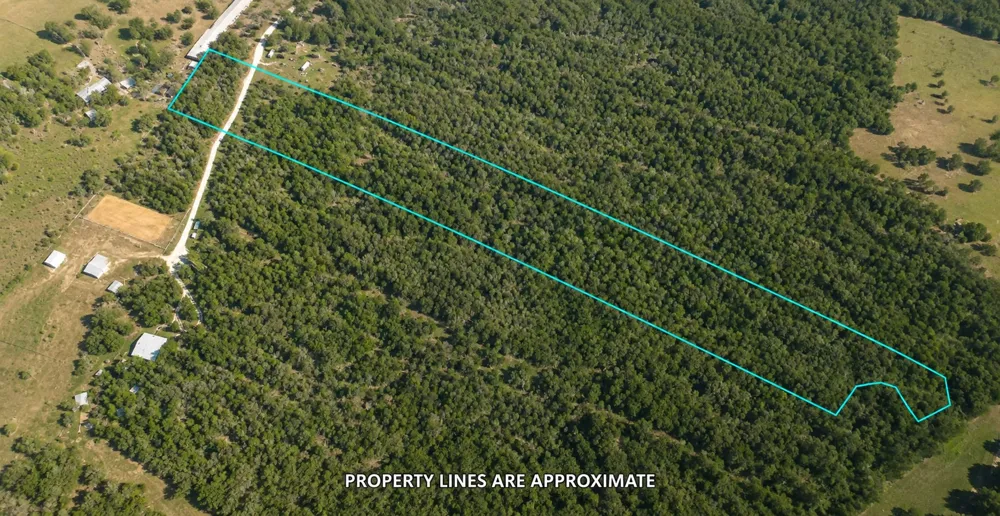 221 Fawn Ridge Road Cedar Creek, TX 78612