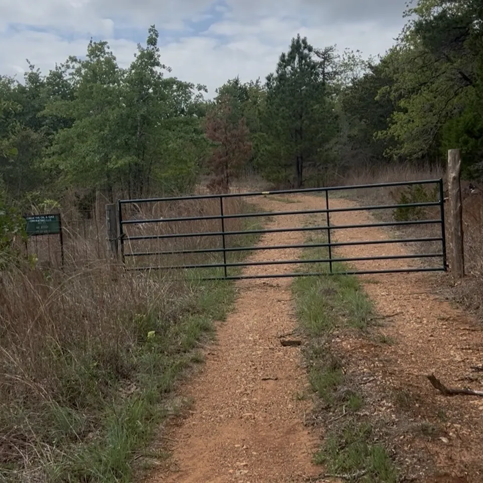 15 Antioch Road Paige, TX 78659