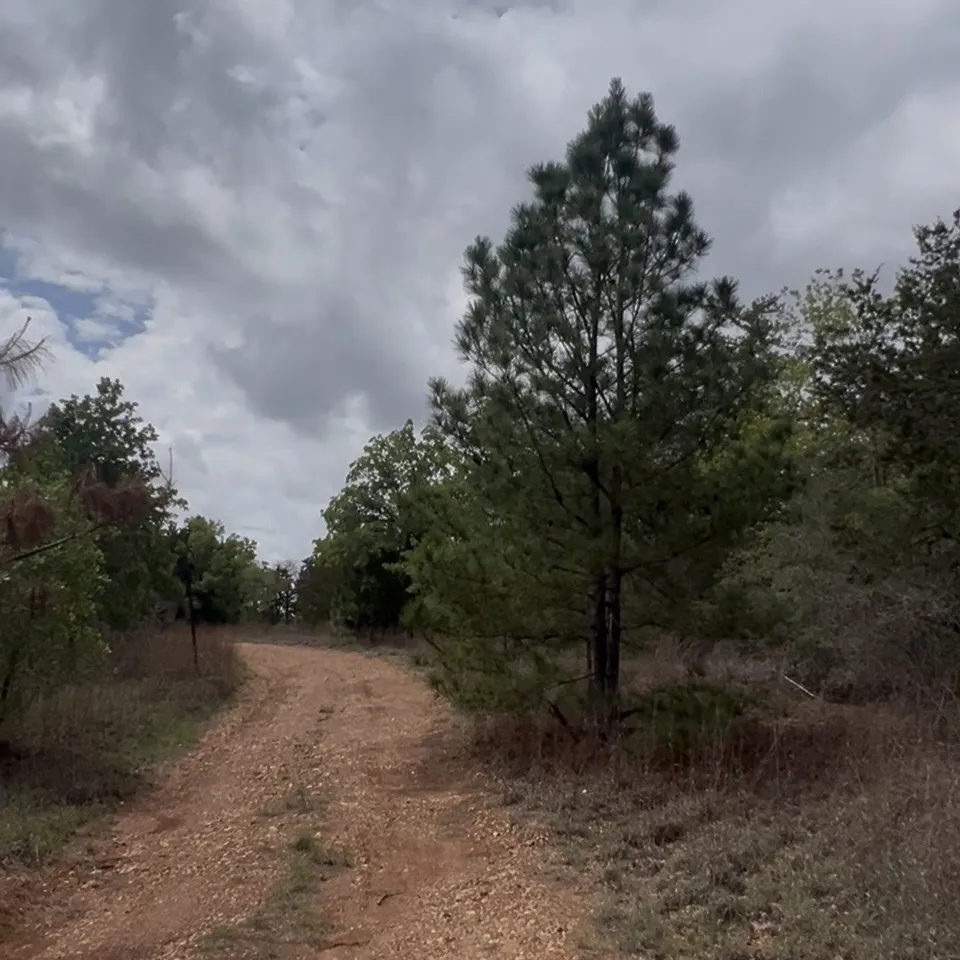 15 Antioch Road Paige, TX 78659