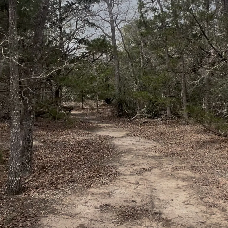 15 Antioch Road Paige, TX 78659