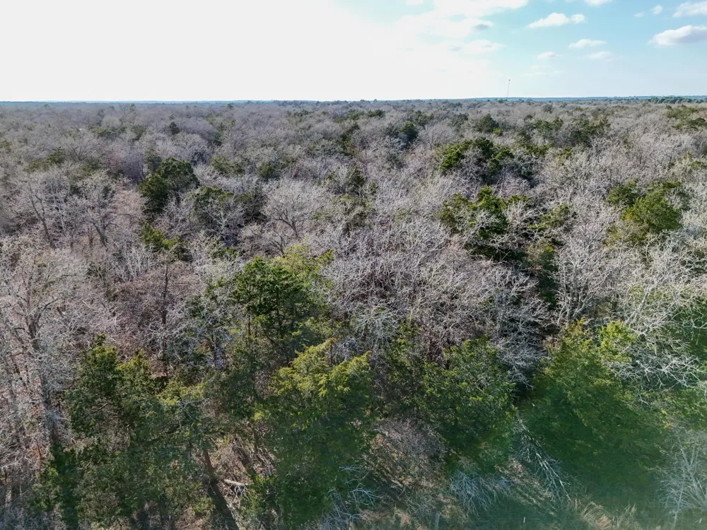15 Antioch Road Paige, TX 78659