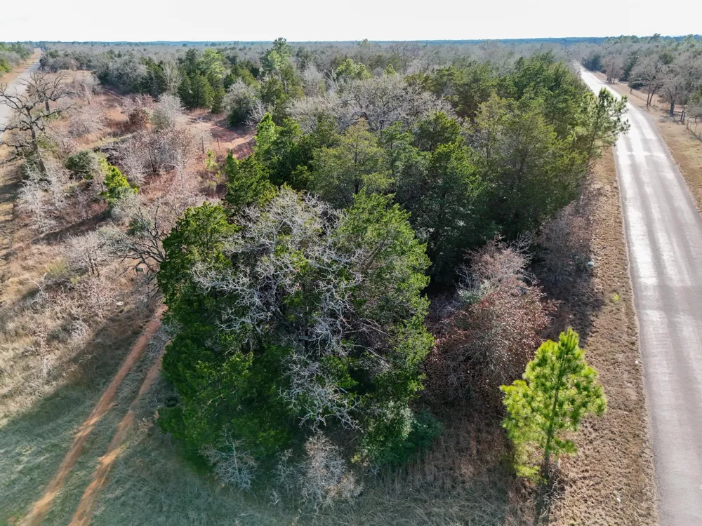 15 Antioch Road Paige, TX 78659
