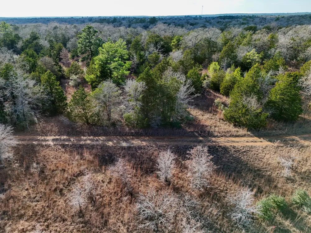 15 Antioch Road Paige, TX 78659