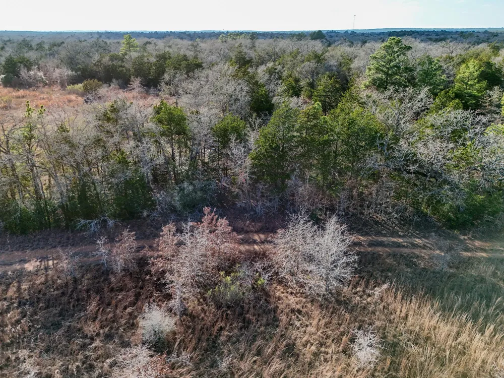 15 Antioch Road Paige, TX 78659