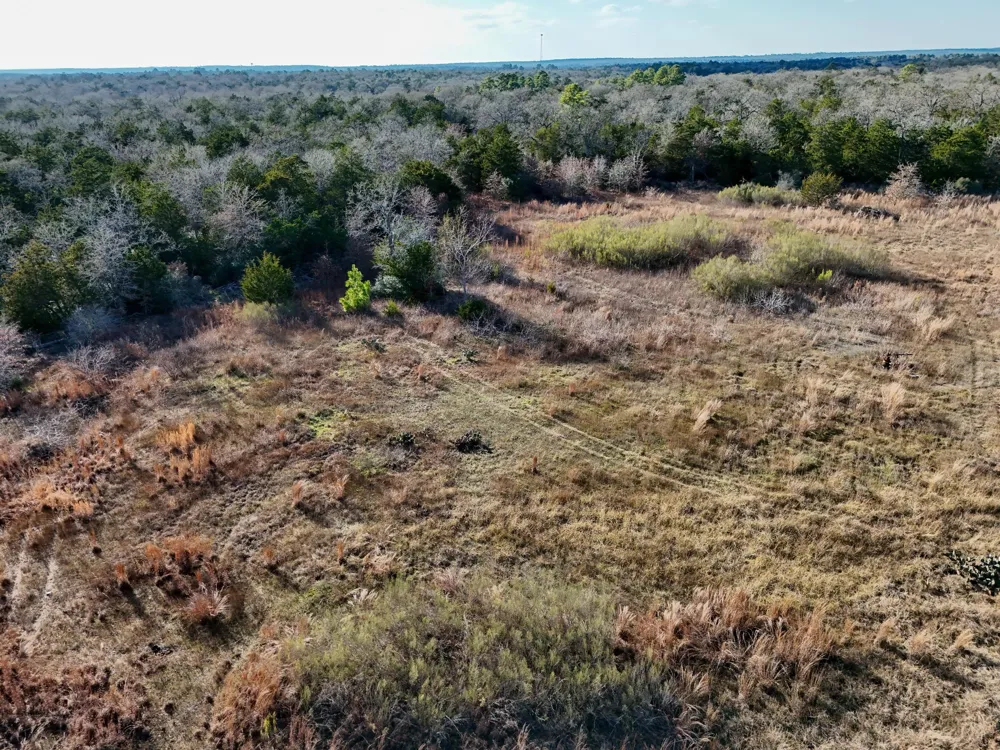 15 Antioch Road Paige, TX 78659