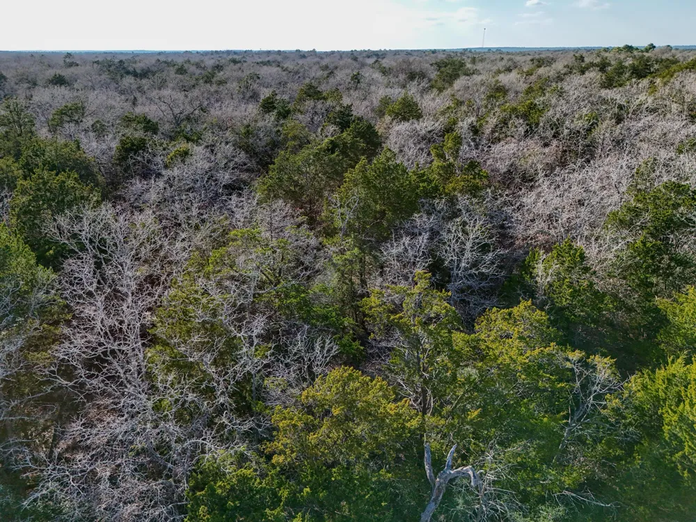 15 Antioch Road Paige, TX 78659