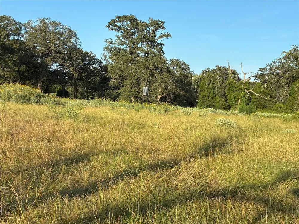 2933 County Road 457 Thorndale, TX 76577