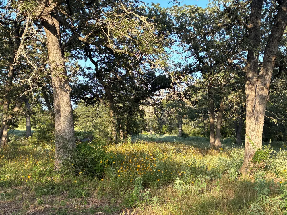 2933 County Road 457 Thorndale, TX 76577