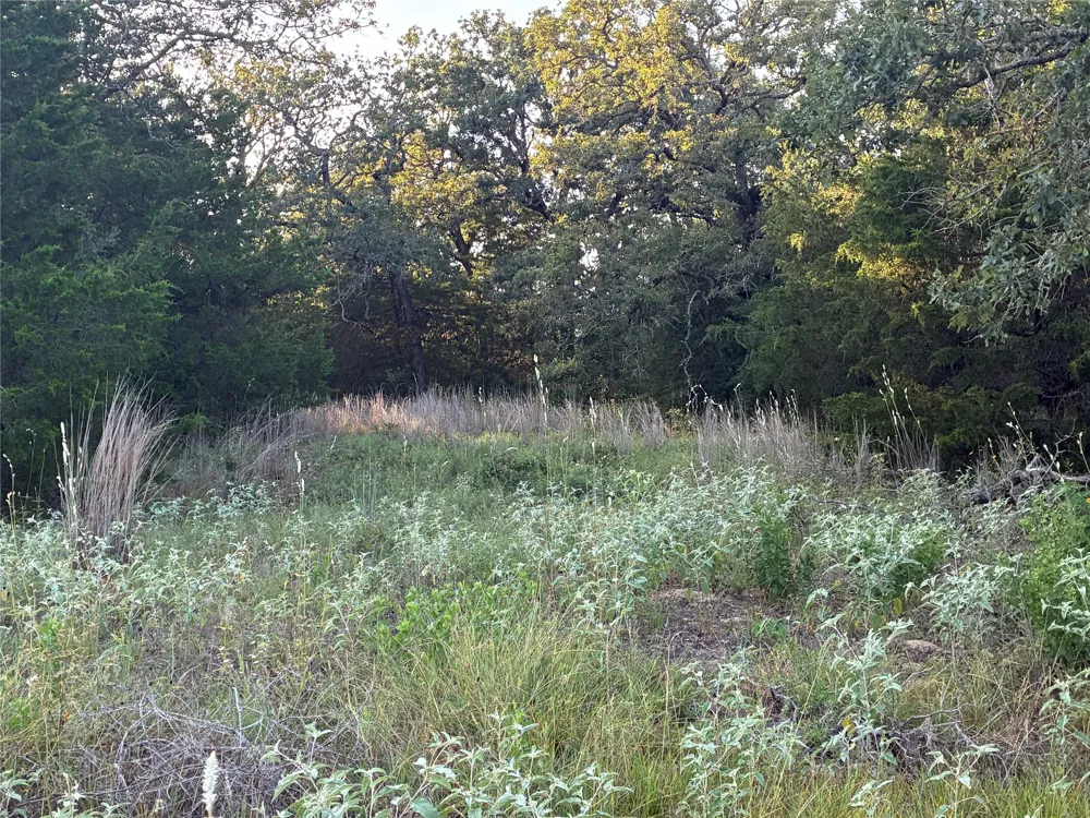 2933 County Road 457 Thorndale, TX 76577
